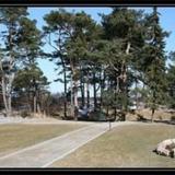 Haus Meeresblick - Ferienwohnung Ostseegold & Ostseesilber — фото 1