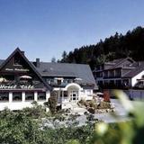 Urlaubs- und Wellnesshotel Friederike — фото 2
