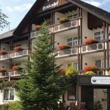Landhotel Henkenhof Willingen — фото 1