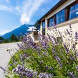 Landhotel und Berggasthof Panorama — фото 2