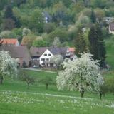 Landgasthof, Hotel und Weingut Alter Kohlhof — фото 3