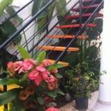 Domingas Guest House — фото 1