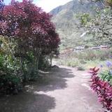 Hacienda Guamag — фото 2