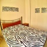 Zebra Apartment — фото 3