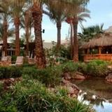 Hilton Sharm El Sheikh Fayrouz Resort — фото 2