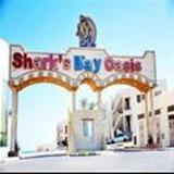 Гостиница Shark Bay Oasis — фото 1