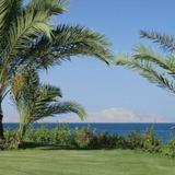 Monte Carlo Sharm Resort & Spa — фото 3