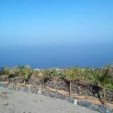 Ecolodge Tenerife — фото 1