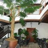 Гостиница Isla Baja Suites — фото 2