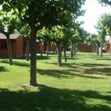 Camping La Llosa — фото 2