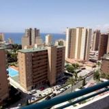 Torres Gardens - Fincas Benidorm — фото 1