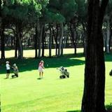 Piverd del Golf — фото 1