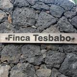 Finca Tesbabo — фото 3