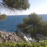 Appartement au jardin du cap martin — фото 1