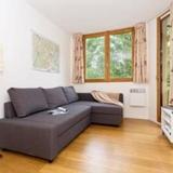 Apartment Chamois Blanc 2 — фото 2