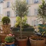 Les Toits de Montmartre — фото 1