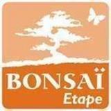 Bonsai — фото 1