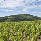 Hotel des Vignes - Le calme au coeur des vignes — фото 1