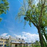 Гостиница Le Domaine des Mauriers — фото 1