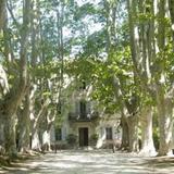 Гостиница Chateau Des Alpilles — фото 3