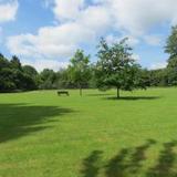 Egrove Park, University of Oxford — фото 2