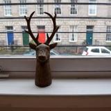 The Holyrood Snug — фото 3