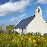 Troedyrhiw Holiday Cottages — фото 2