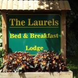 The Laurels Bed & Breakfast Lodge — фото 2