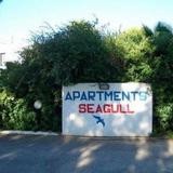 Apartments Seagull — фото 1