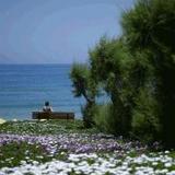 Mitsis Rinela Beach Resort & Spa — фото 1