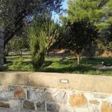Apartment in Olive Grove — фото 1