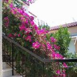 Aeginas Flowers house — фото 1