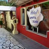 Hotel White Rose Beach — фото 1