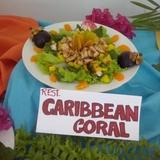 Гостиница Caribbean Coral Inn Tela — фото 1