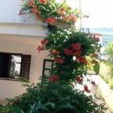 Beachfront Apartments Tamaris — фото 1