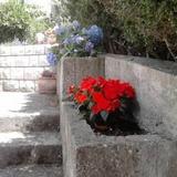 Majas Place Apartments — фото 1