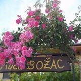 Holiday Home Bozac — фото 1