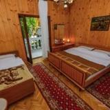 Guest house Vila Radic — фото 1