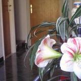 Francesca Guesthouse — фото 1