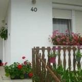 Eva Apartman — фото 1