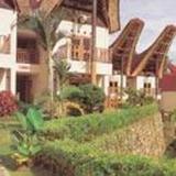 Гостиница Marante Toraja — фото 1