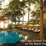 Banyan Tree Resort — фото 1