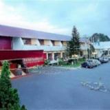 Patra Jasa Hotel-motel — фото 1