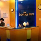 Lovina Inn Penuin — фото 1