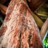 Gili Treehouses — фото 2