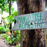 Mango Tree Homestay — фото 1