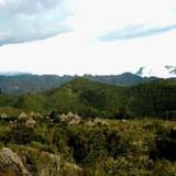 Baliem Valley Resort — фото 2