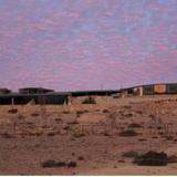 Desert Shade Eco Lodge — фото 3