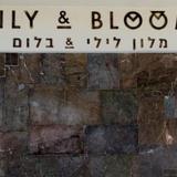 Гостиница Lily & Bloom Boutique — фото 1