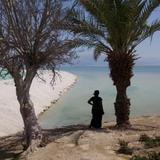 Aloni Neve Zohar Dead Sea — фото 3